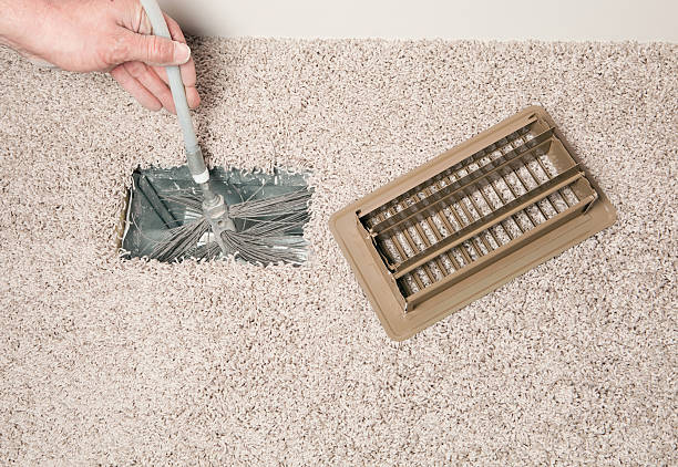 Best Air Duct Mold Removal  in Forestbrook, SC