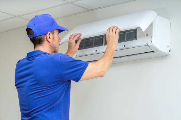 Air Duct Mold Removal in SC